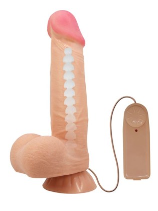 Realističan vibrator Cass- BW 8105ZRG-2